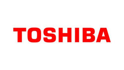 Toshiba 6LE39056000  Transfer Belt Cleaning Kit Assembly